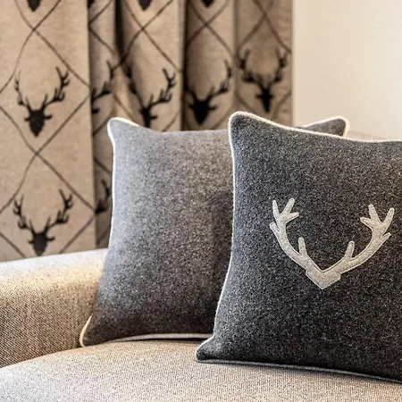 Unique Alpic Style In The Heart Of Apartment *